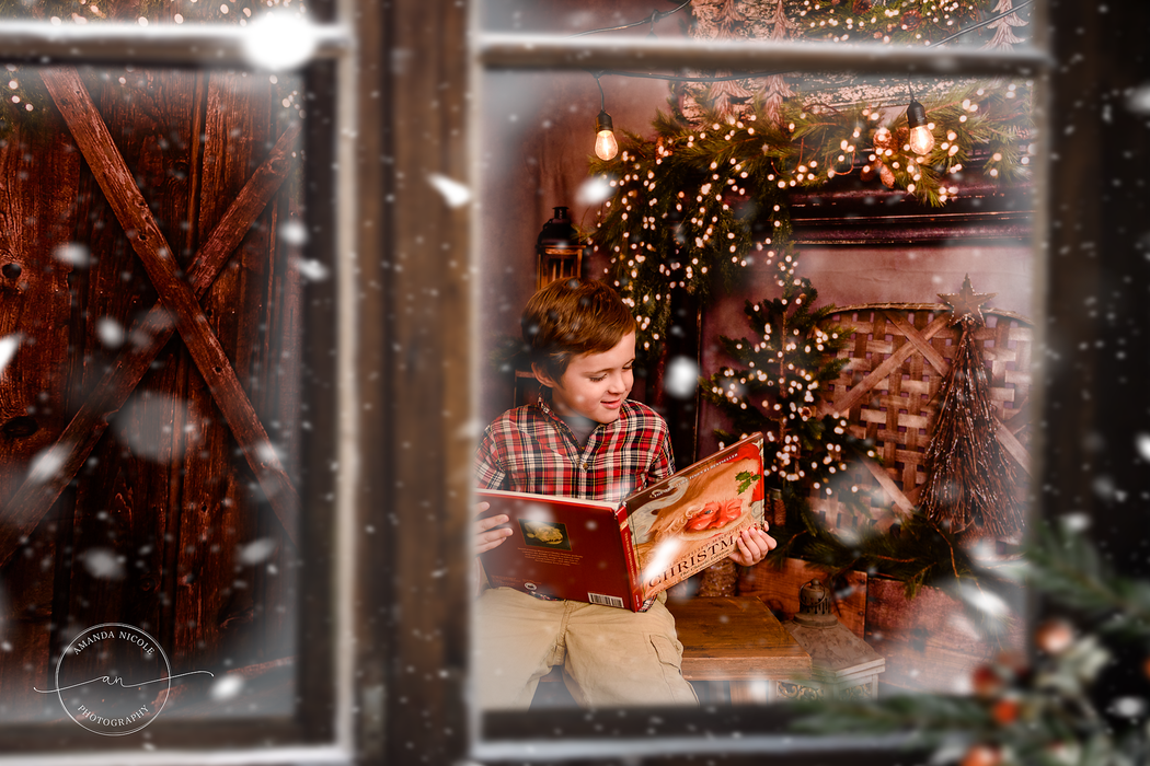 Country Yuletide Lights and Country Yuletide Door (Lights) Fabric Room