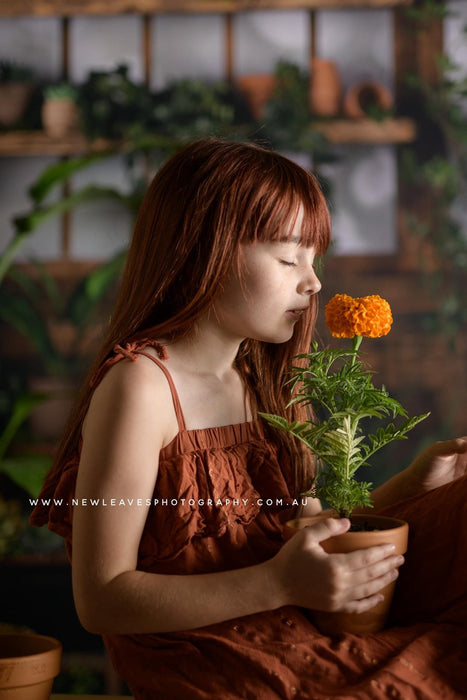 Gorgeous Green House (JA)