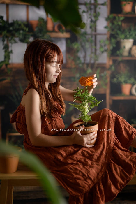 Gorgeous Green House (JA)