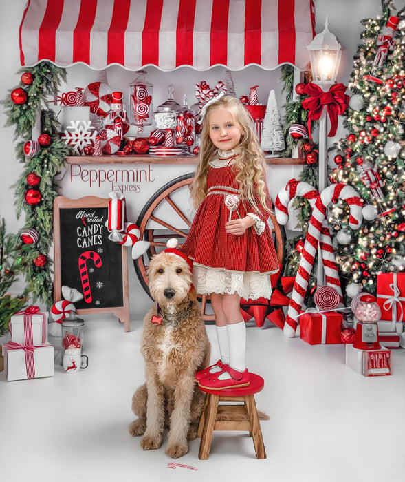 Peppermint Express (VR)