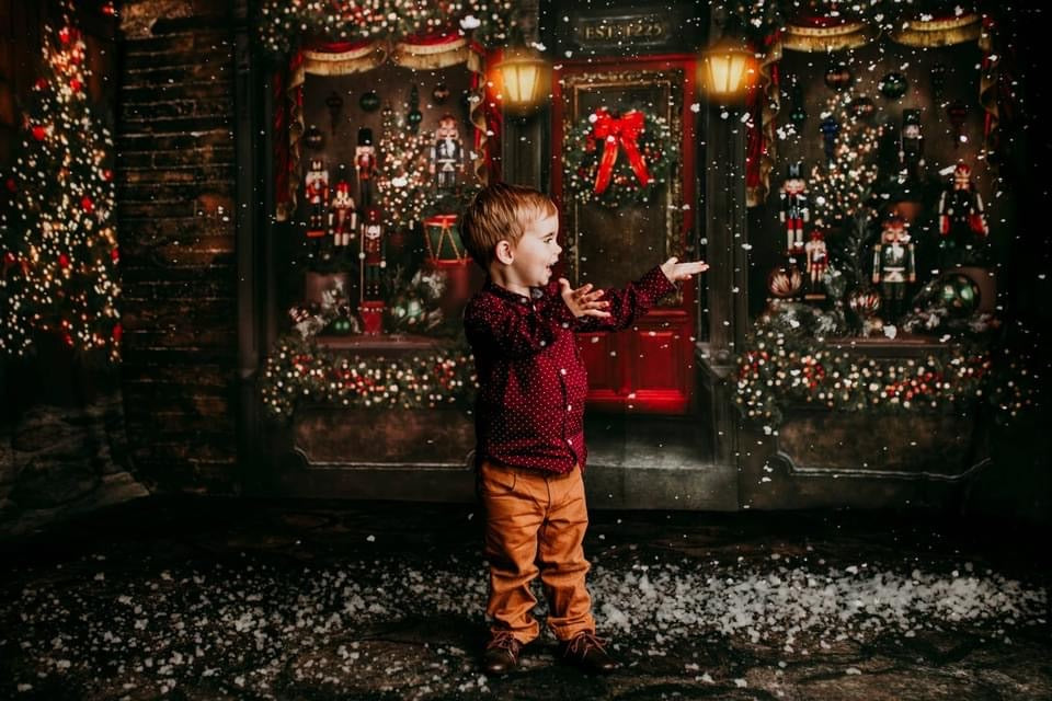 Magical Main Street Nutcrackers with Soldiers and Twinkle Tree Alley Fabric Room