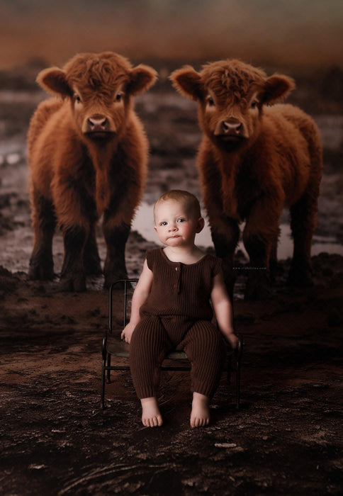 Highland Cow's in the Mud (AZ)