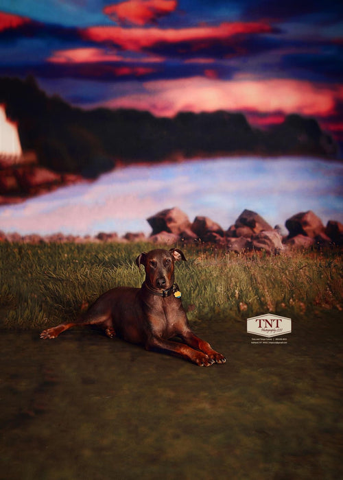 X Drop Sweeps dreams by the lake lg