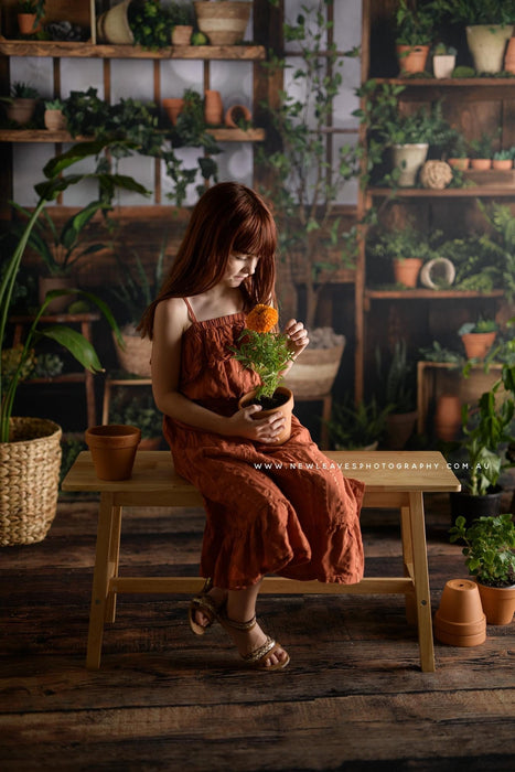 Gorgeous Green House (JA)