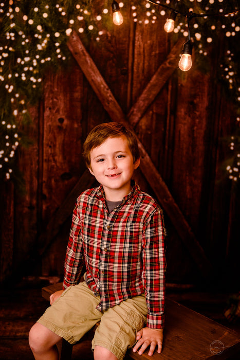 Country Yuletide Lights and Country Yuletide Door (Lights) Fabric Room