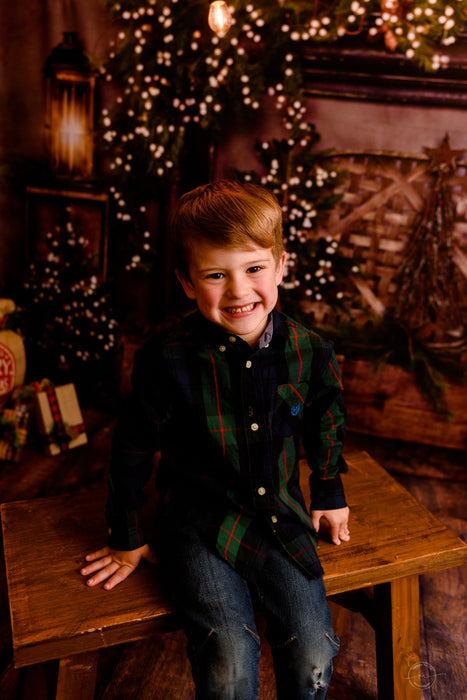 Country Yuletide Lights and Country Yuletide Door (Lights) Fabric Room