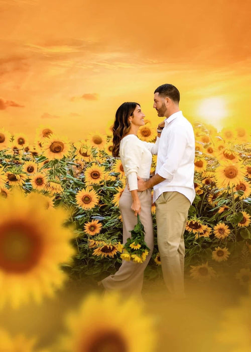 Sweet Sunflower Field (CC)