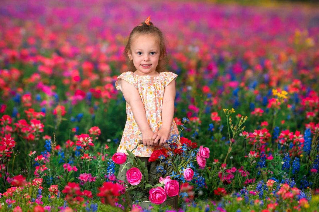 Chasing Wildflowers (BD)