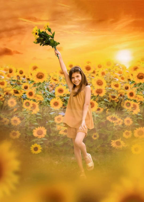 X Drop sweet sunflower field cc
