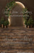 lluminate the Holidays Brown Sweeps (CC)