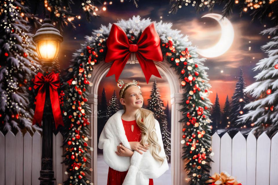 RTS A 8x10 Dream Fleece Merry Manor Arch (JA)