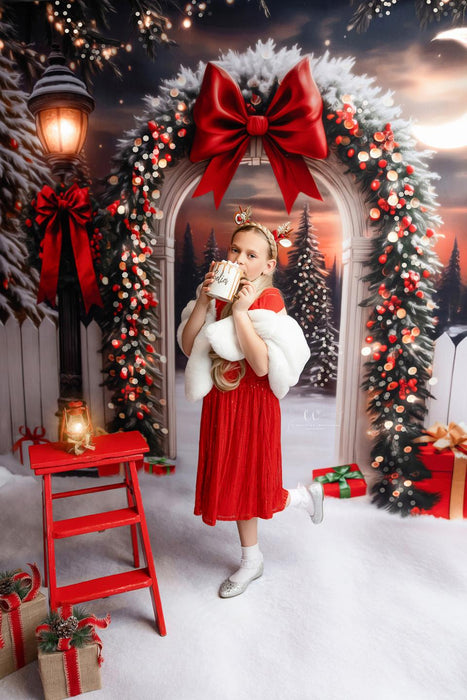 RTS A 8x10 Dream Fleece Merry Manor Arch (JA)