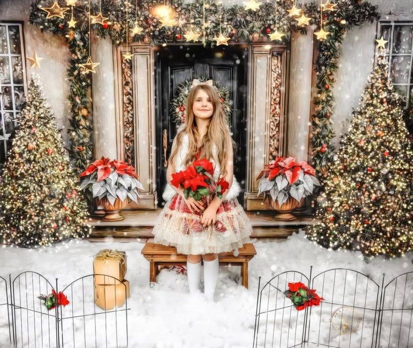 Modern Poinsettia Porch (VR)