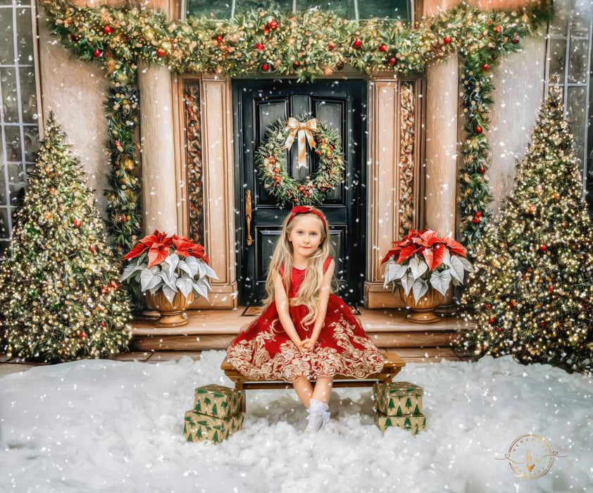 Modern Poinsettia Porch (VR)