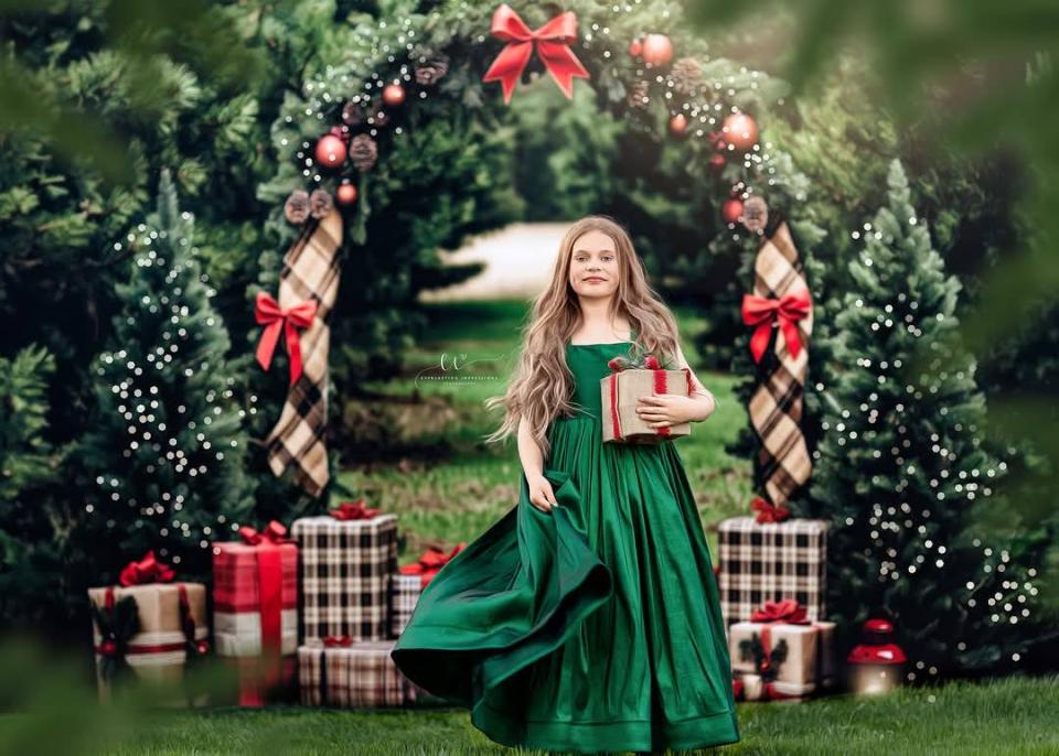 Northwoods Tree Farm (lights) (JA)