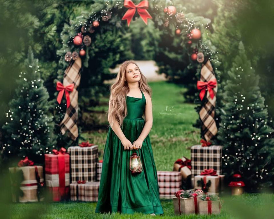 Northwoods Tree Farm (lights) (JA)