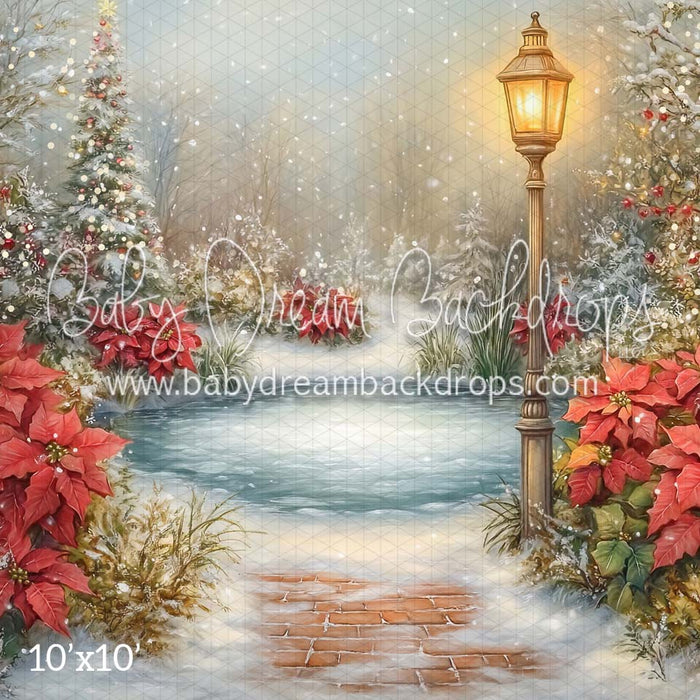 poinsettia pond (CM)