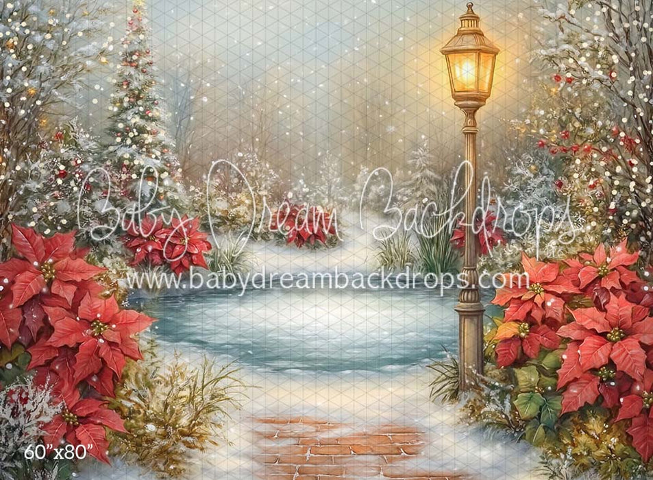 poinsettia pond (CM)