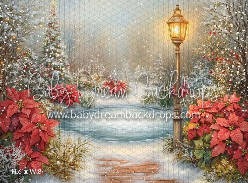 poinsettia pond (CM)