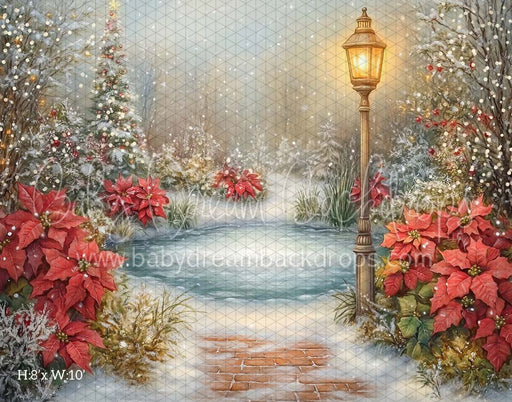 poinsettia pond (CM)