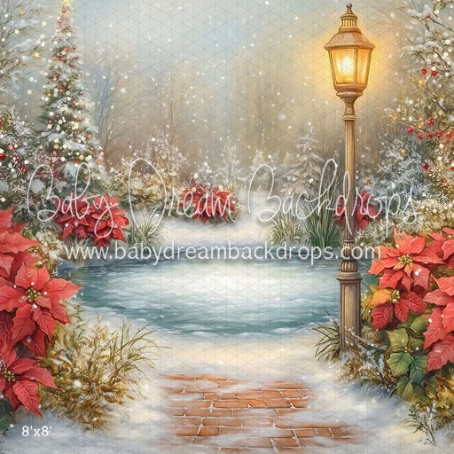 poinsettia pond (CM)