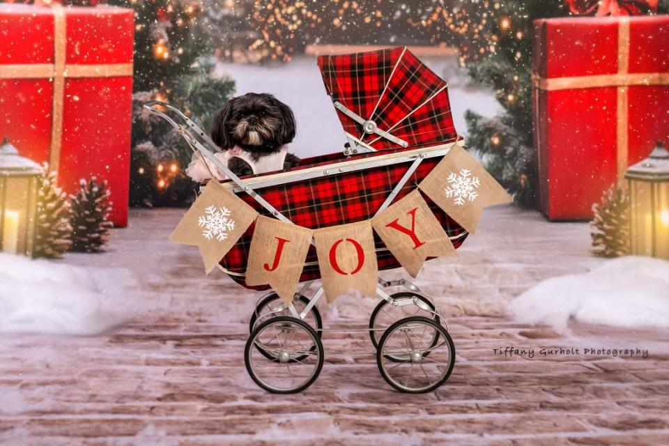 Present Path Festive (JA)