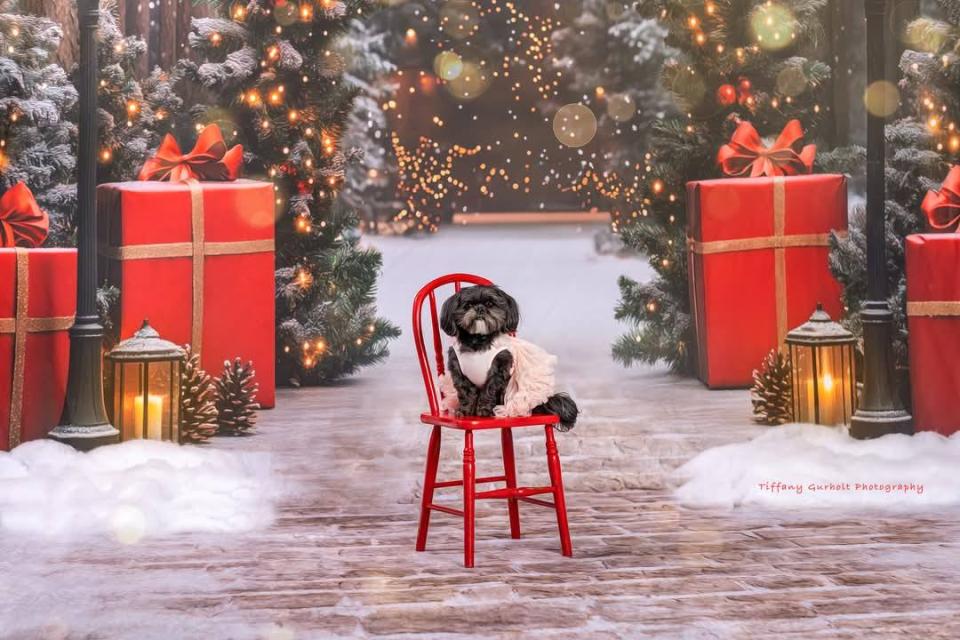 Present Path Festive (JA)