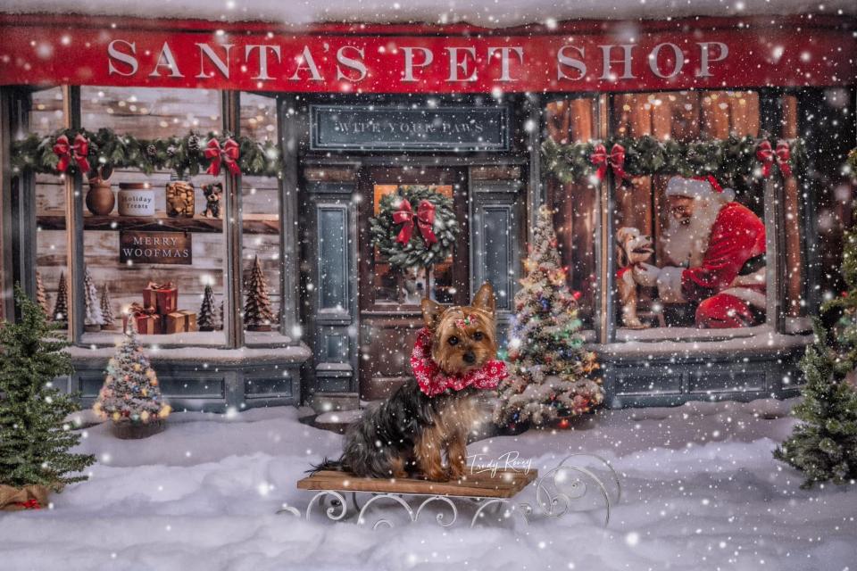 Santas Pet Shop (AZ)