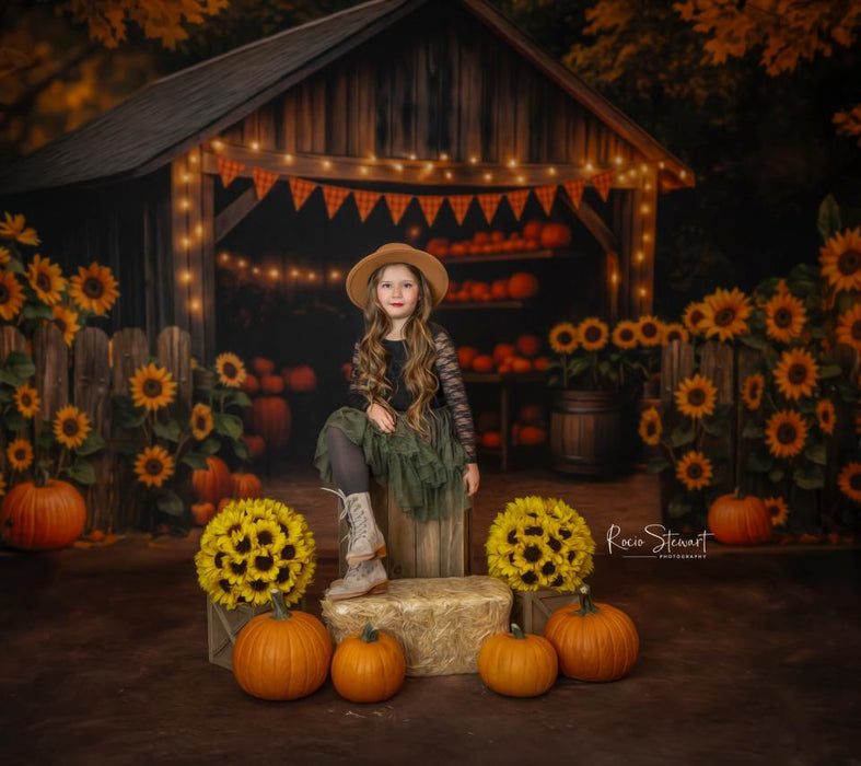 Sunflower Ridge Barn (JA)