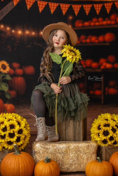 Sunflower Ridge Barn (JA)