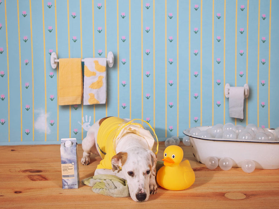 Love You Forever Packer