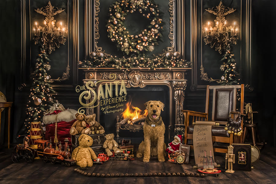 Emerald Glow and Elegance Fireplace (Fire) (JA)