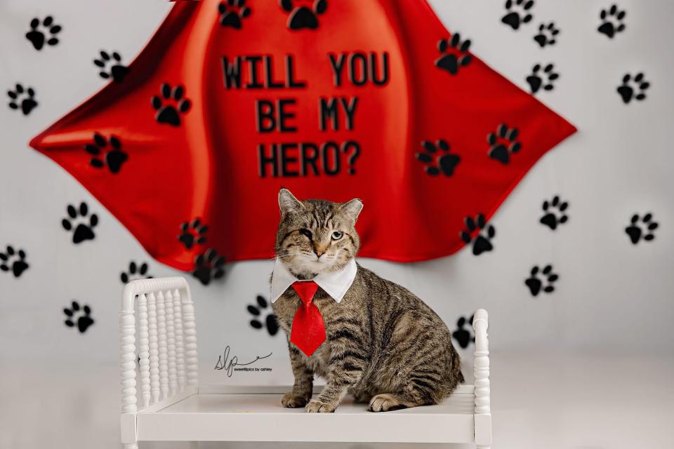 Will You Be My Hero (AZ)