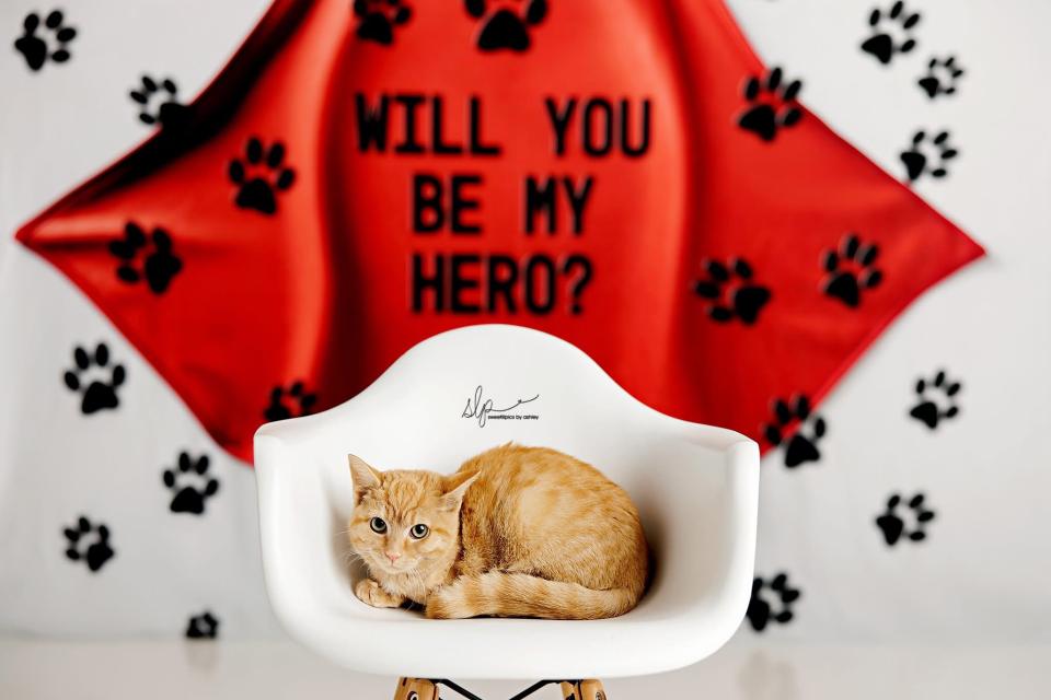 Will You Be My Hero (AZ)