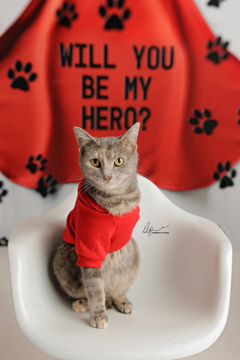 Will You Be My Hero (AZ)