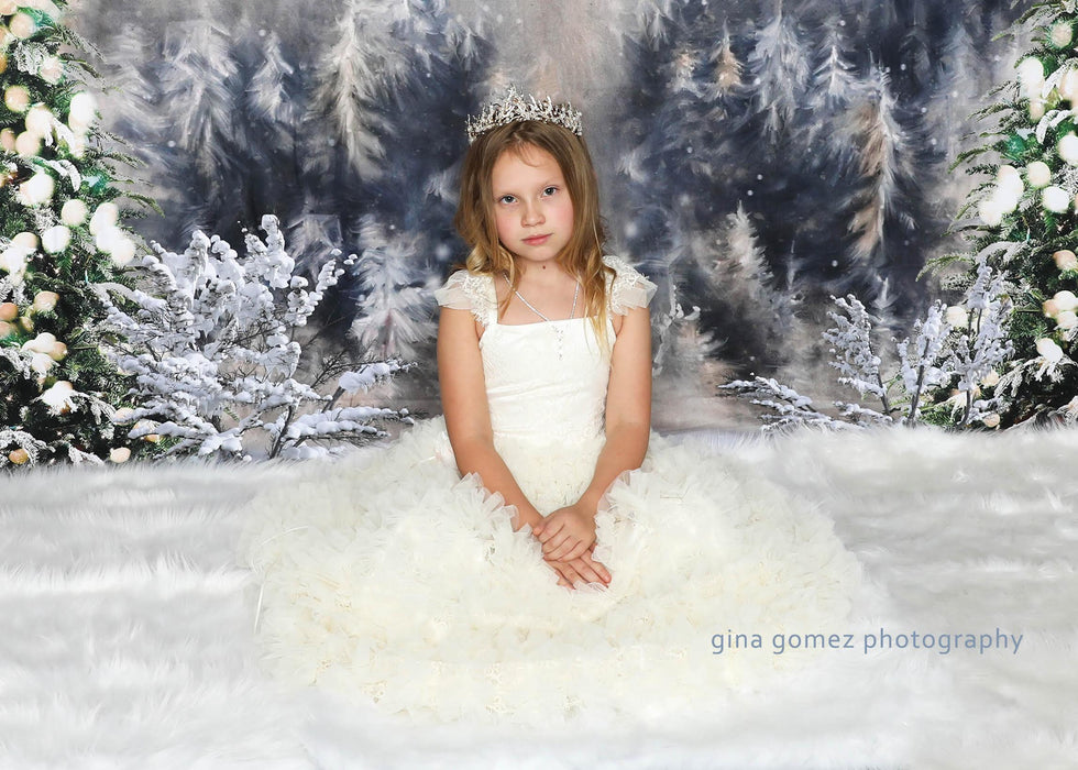 Once Upon a Christmas Santa (JA)