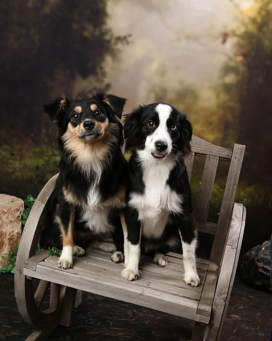 Whimsical Entry (VR)