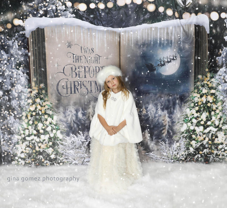 Once Upon a Christmas Santa (JA)