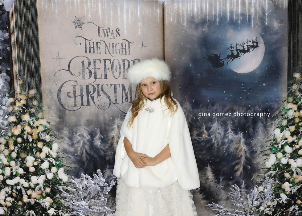 Once Upon a Christmas Santa (JA)