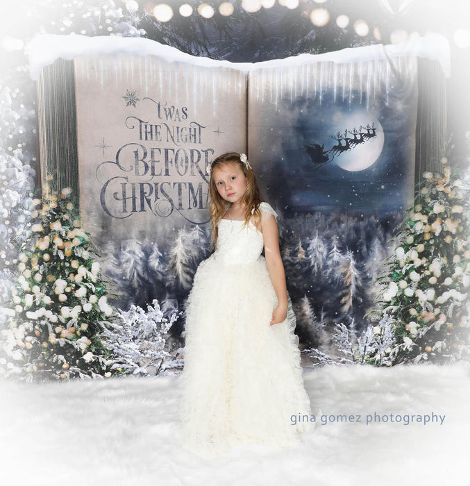 Once Upon a Christmas Santa (JA)