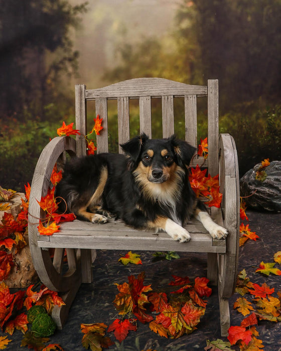 Whimsical Entry (VR)