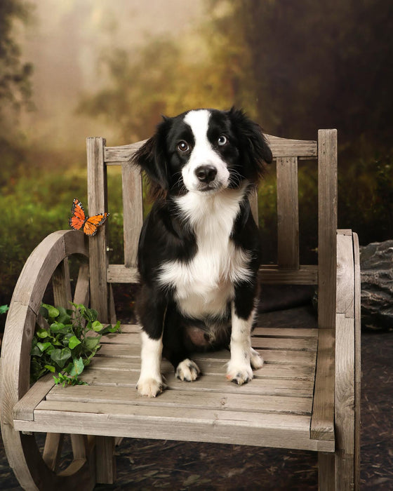 Whimsical Entry (VR)