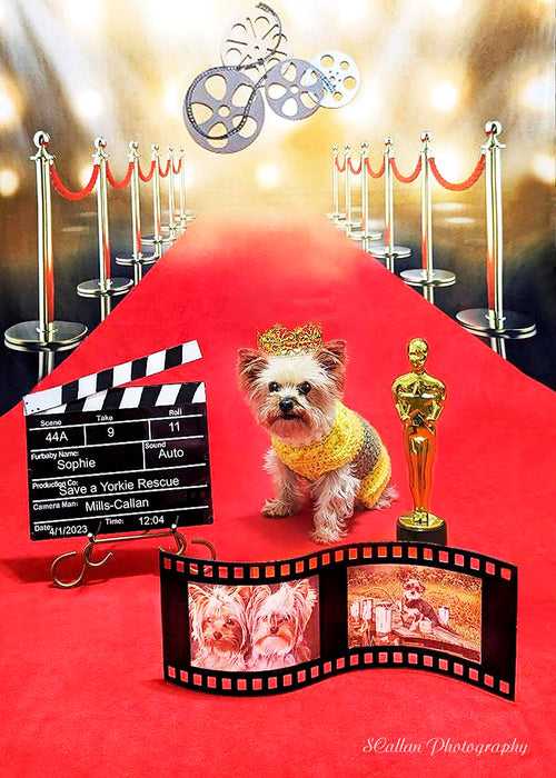 Sweeps Red Carpet