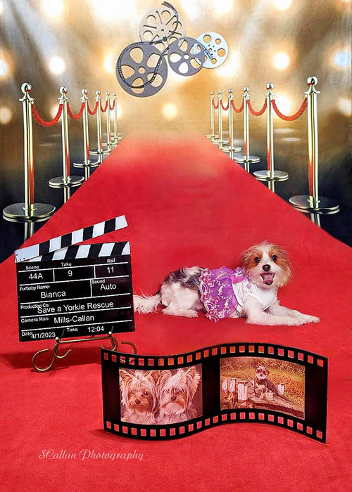 Sweeps Red Carpet