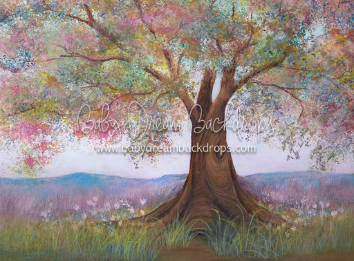 100 Acre Spring - 6x8 - SS (Premium)