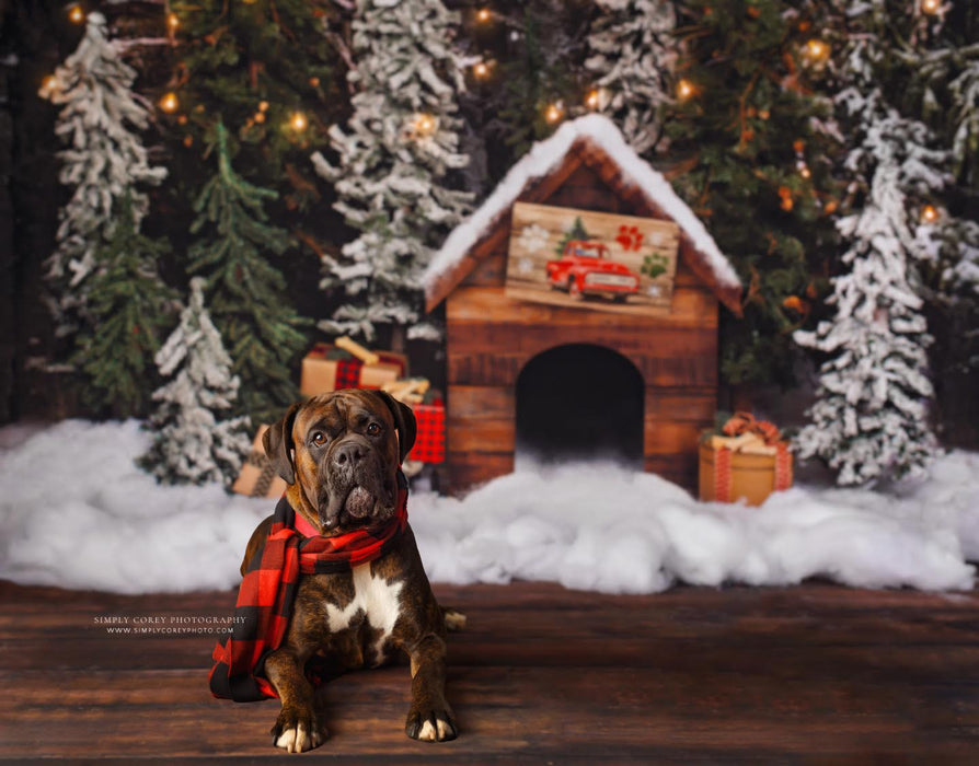 Place in the Pines for Pups