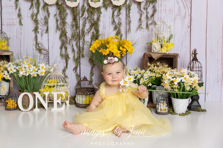 Daffodil Garden (JG)