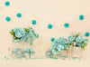 Tiffany Blue 60Hx80W SD  