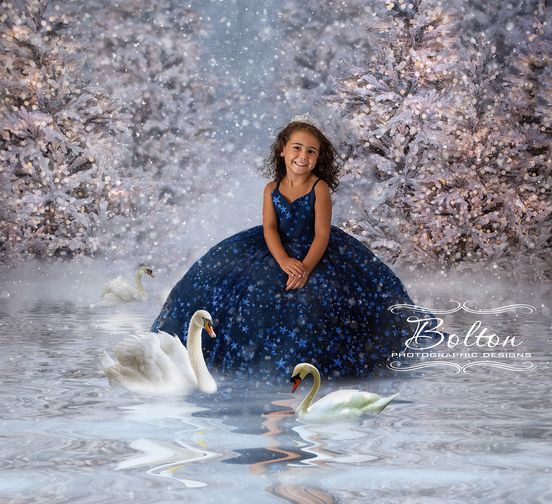 Christmas Trees in Snow with Lights (VR)