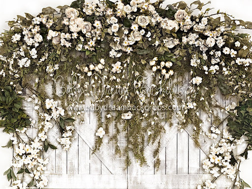 Entry into Spring White 6x8 CC